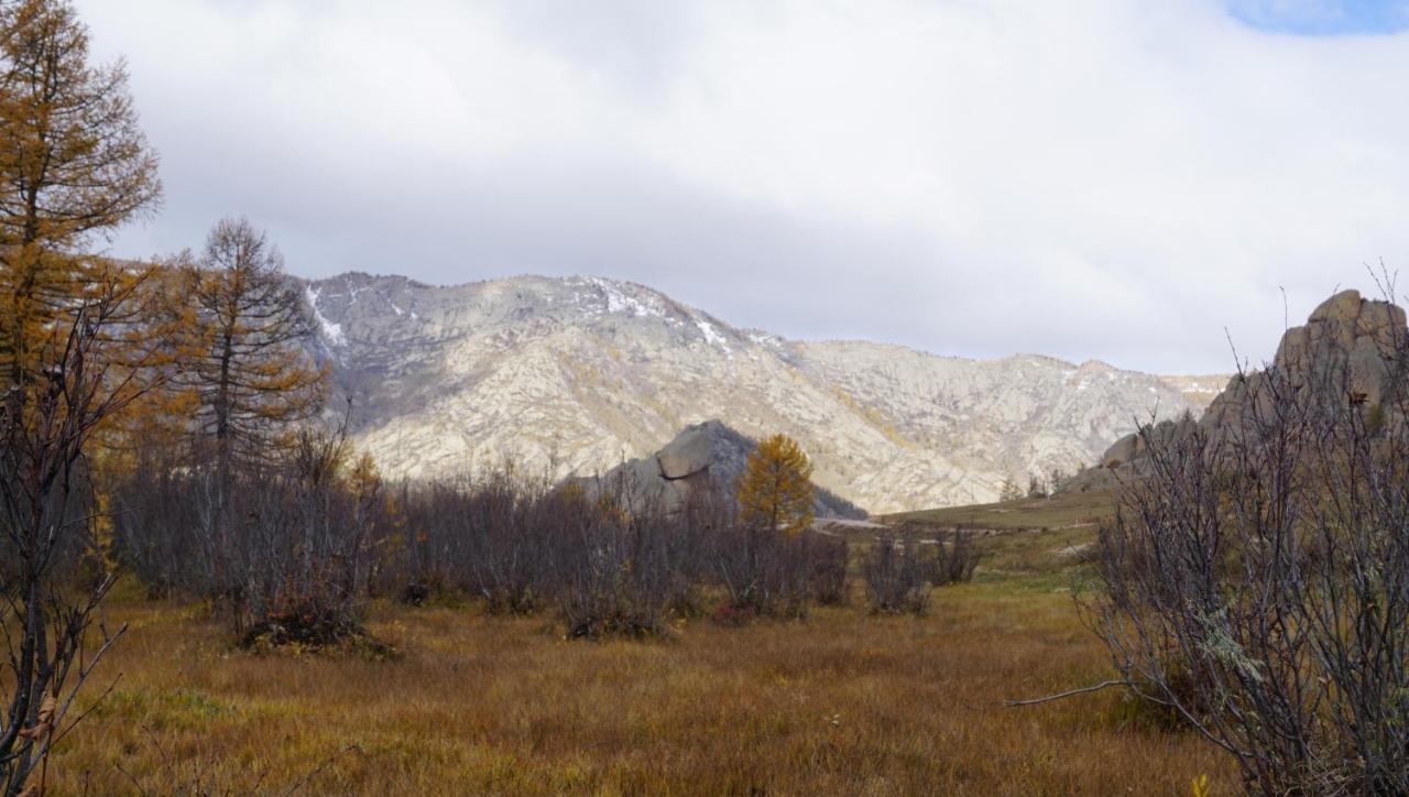 My Mongolia Eco Ger Camp Hotel Nalayh Buitenkant foto